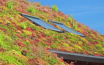 Tredrizzick living roof systems