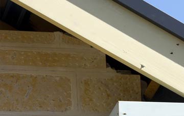 soffit repair Tredrizzick