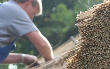 professional Tredrizzick thatchers