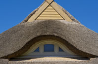 Tredrizzick thatch roofing